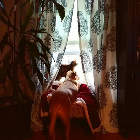 Meet your Posher, Anissa - Picture 7 of 7